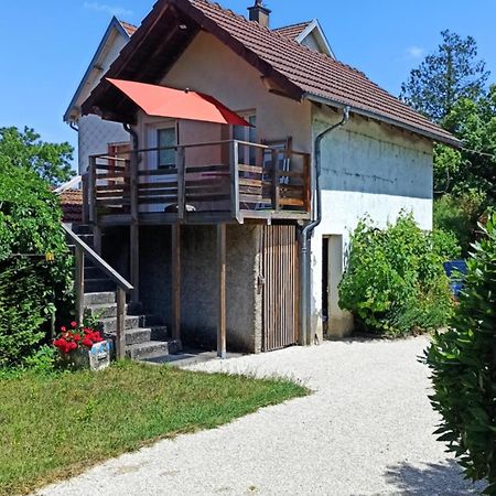 Une Tiny House A Decouvrir Au Coeur De La Cite ! Contrexéville Buitenkant foto